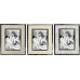 P/FOTO GIGLIO CM.15X20 ASS. (6pz)